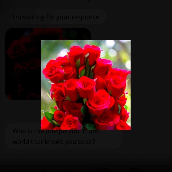 Accessories - SHIPPING LABEL